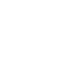 VelWallet logo